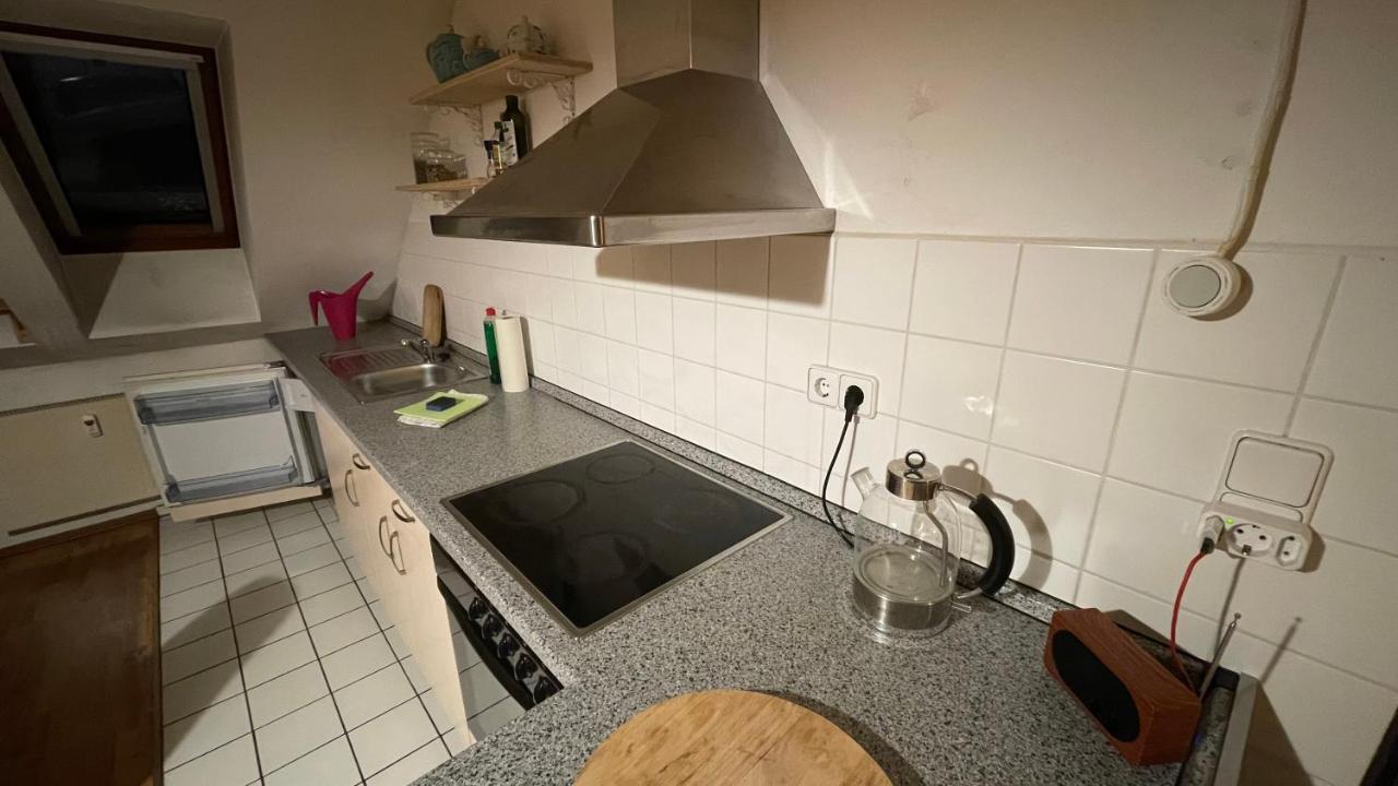 Apartment Grosszuegige Maisonette Ueber Den Daechern Leipzigs