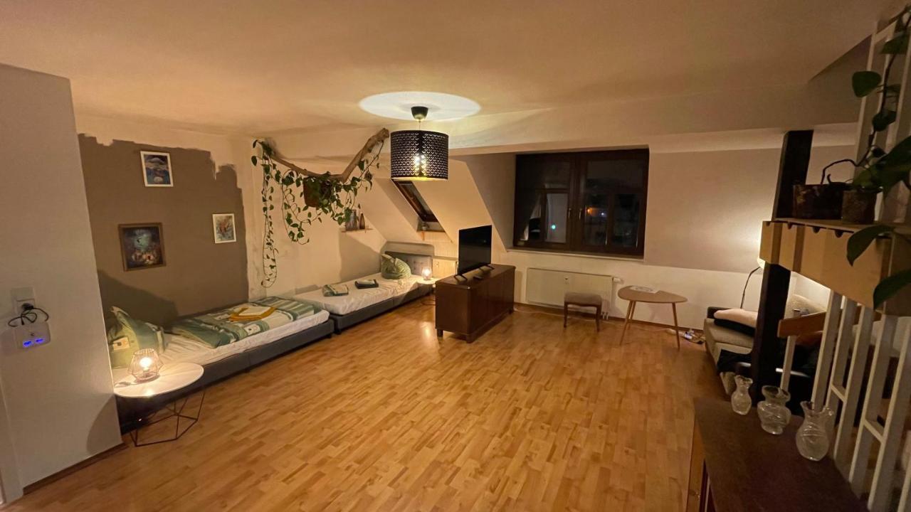 Apartment Grosszuegige Maisonette Ueber Den Daechern Leipzigs
